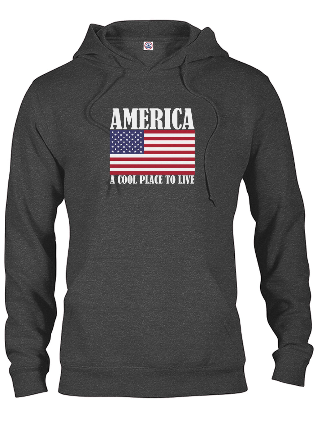 America A Cool Place To Live T-Shirt