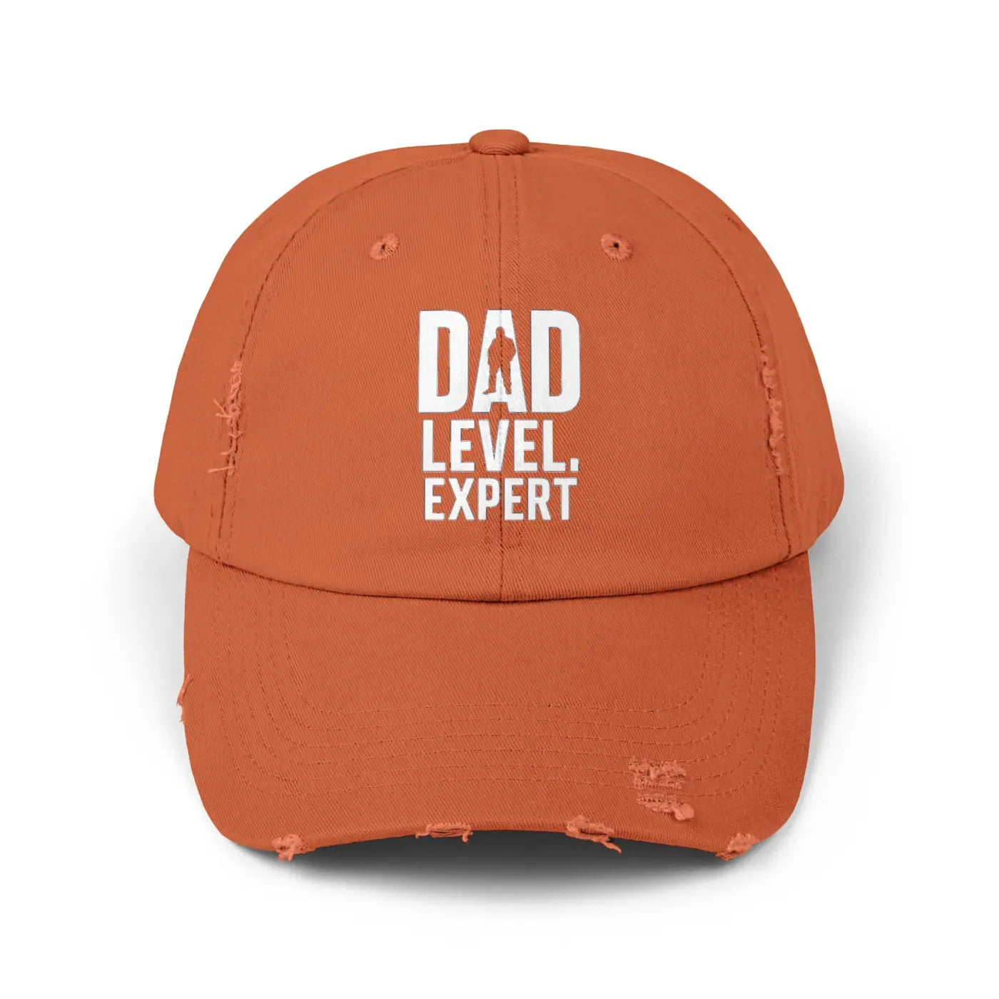 Dad Level Expert Hat – Cotton Father's Day Hat - Dipaliz