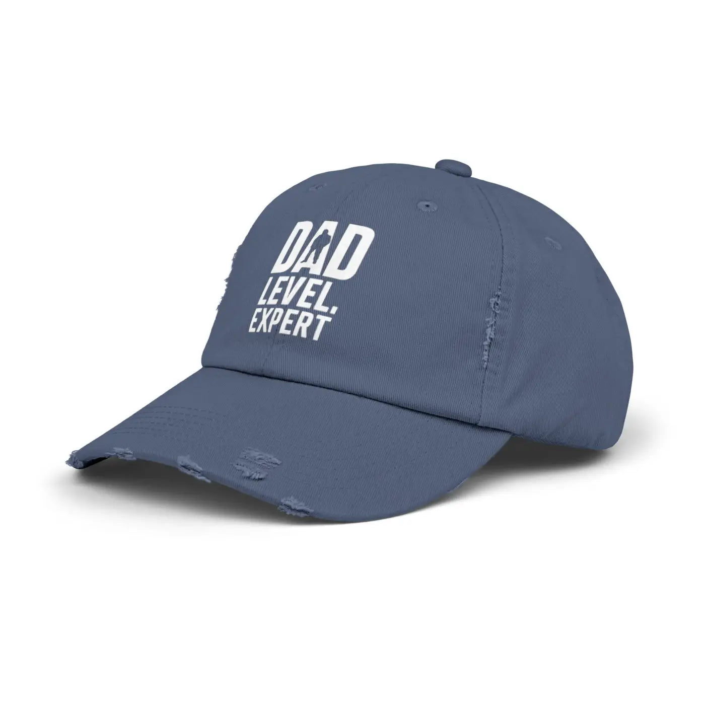 Dad Level Expert Hat – Cotton Father's Day Hat - Dipaliz