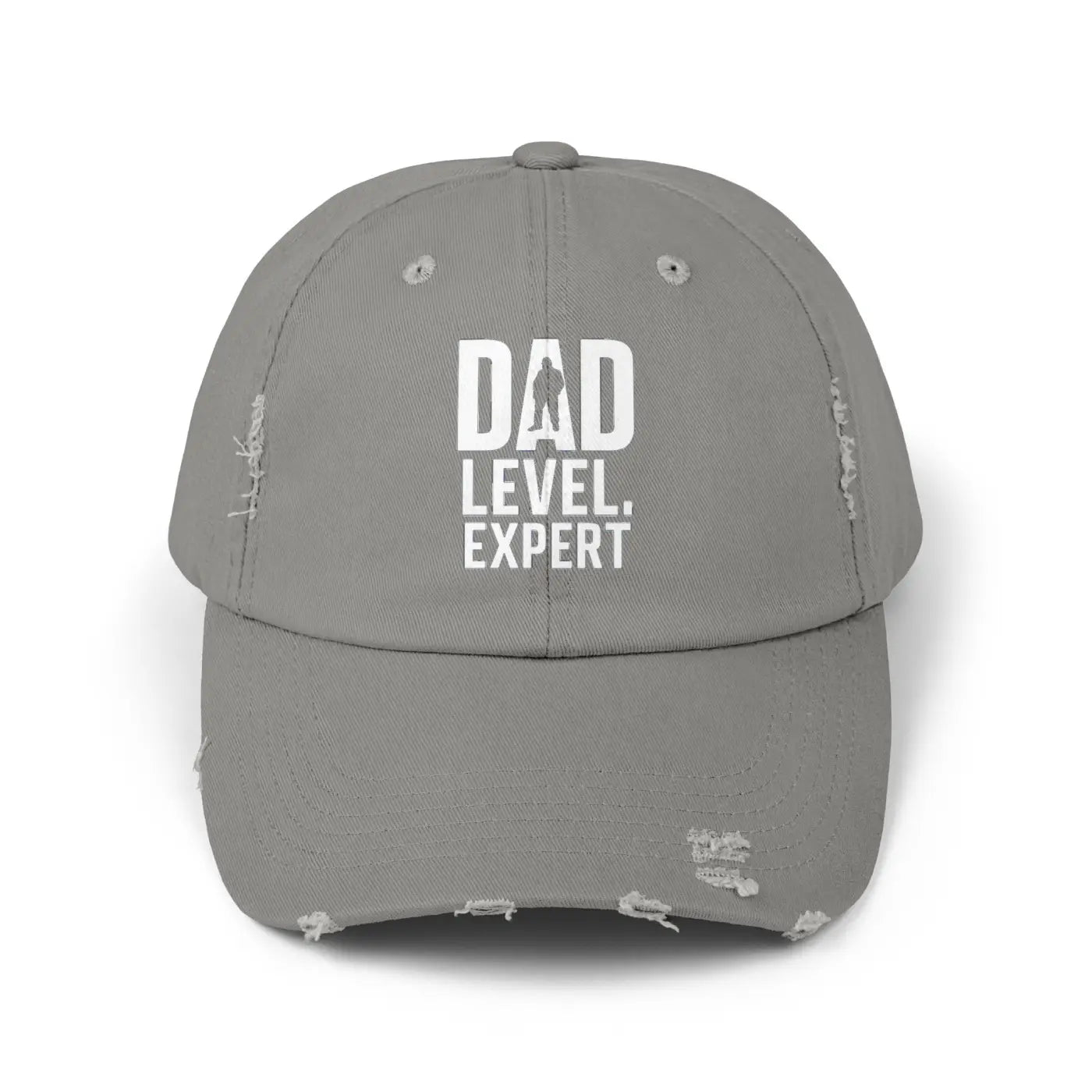 Dad Level Expert Hat – Cotton Father's Day Hat - Dipaliz