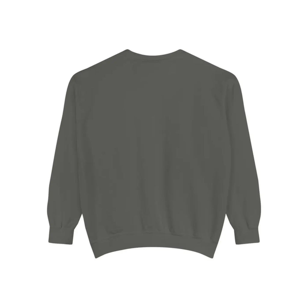 Cozy Garment-dyed Sweatshirt – Independence Day - Dipaliz
