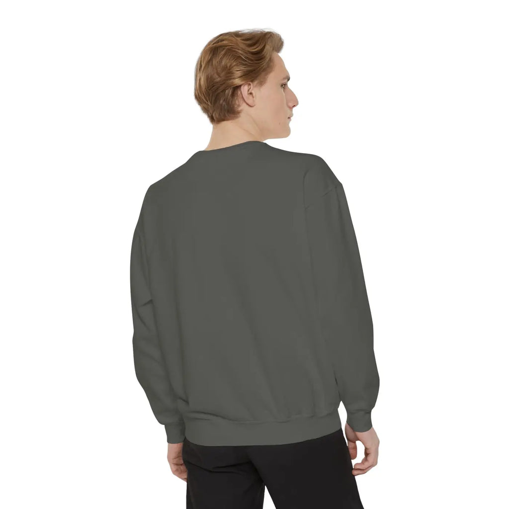 Cozy Garment-dyed Sweatshirt – Independence Day - Dipaliz