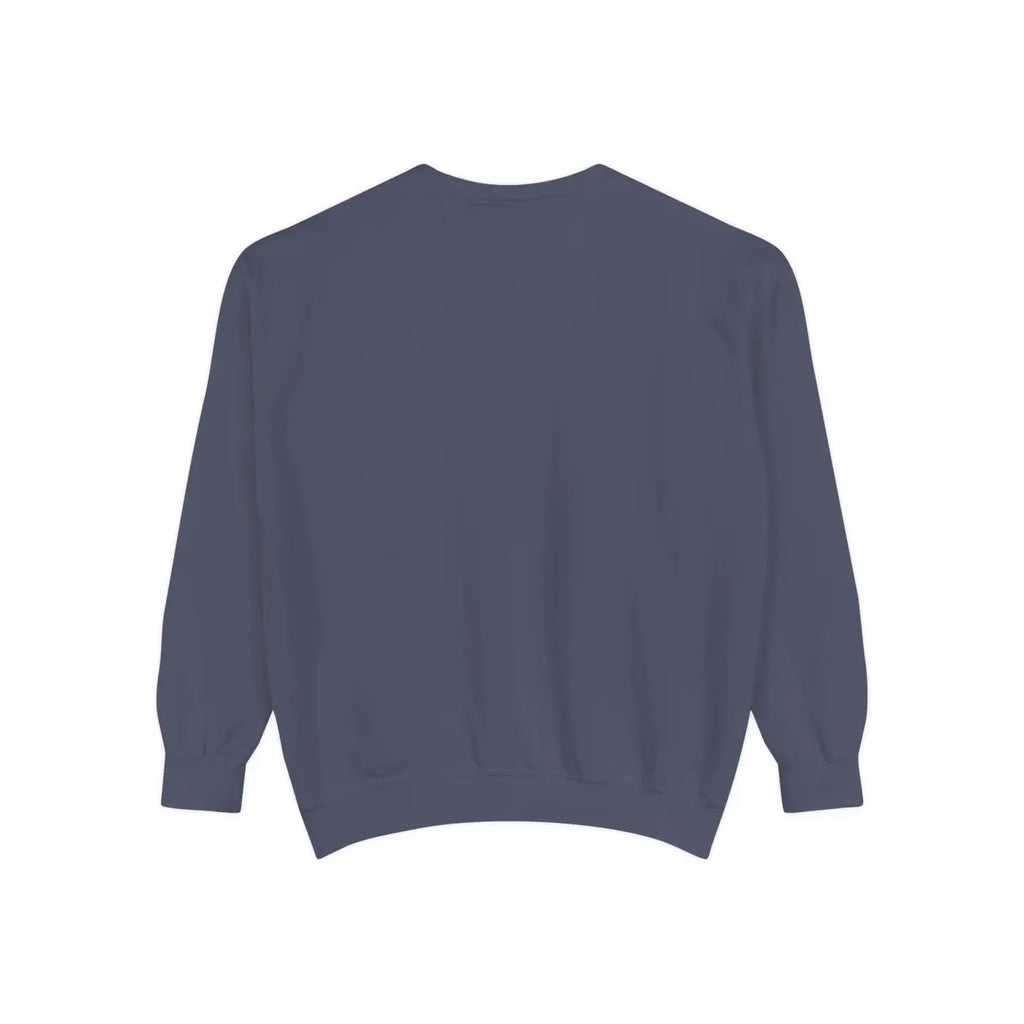 Cozy Garment-dyed Sweatshirt – Independence Day - Dipaliz